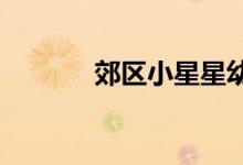 郊区小星星幼儿园的地址在哪