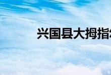 兴国县大拇指幼儿园的地址在哪