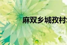 麻双乡城孜村幼儿园的地址在哪