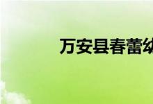 万安县春蕾幼儿园的地址在哪