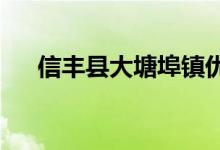 信丰县大塘埠镇优苗幼儿园的地址在哪