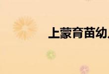 上蒙育苗幼儿园的地址在哪