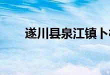 遂川县泉江镇卜村幼儿园的地址在哪