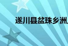 遂川县盆珠乡洲上幼儿园的地址在哪