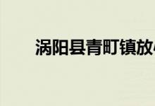 涡阳县青町镇放心幼儿园的地址在哪