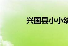 兴国县小小幼儿园的地址在哪