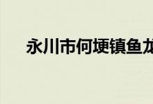 永川市何埂镇鱼龙村幼儿园的地址在哪
