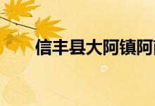 信丰县大阿镇阿南幼儿园的地址在哪