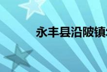 永丰县沿陂镇幼儿园的地址在哪