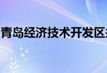 青岛经济技术开发区井冈山幼儿园的地址在哪