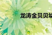 龙涛金贝贝幼儿园的地址在哪