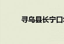 寻乌县长宁口幼儿园的地址在哪