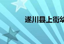 遂川县上街幼儿园的地址在哪