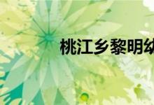 桃江乡黎明幼儿园的地址在哪