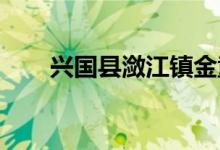 兴国县潋江镇金童幼儿园的地址在哪