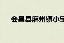 会昌县麻州镇小宝宝幼儿园的地址在哪