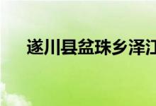 遂川县盆珠乡泽江村幼儿园的地址在哪
