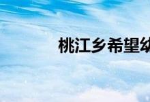 桃江乡希望幼儿园的地址在哪