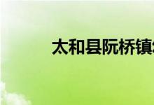 太和县阮桥镇幼儿园的地址在哪