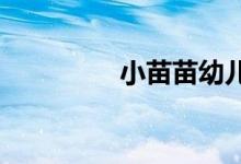 小苗苗幼儿园的地址在哪