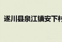 遂川县泉江镇安下村蓝天幼儿园的地址在哪
