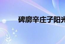碑廓辛庄子阳光幼儿园的地址在哪