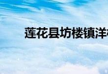 莲花县坊楼镇洋桥幼儿园的地址在哪