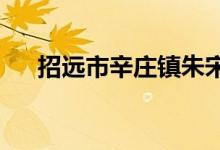 招远市辛庄镇朱宋完全小学的地址在哪