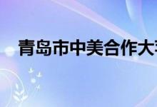 青岛市中美合作大苹果幼儿园的地址在哪
