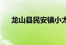 龙山县民安镇小太阳幼儿园的地址在哪