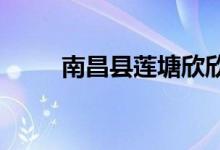南昌县莲塘欣欣幼儿园的地址在哪