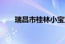 瑞昌市桂林小宝宝幼儿园的地址在哪