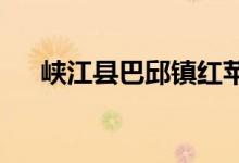 峡江县巴邱镇红苹果幼儿园的地址在哪