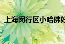 上海闵行区小哈佛好第坊幼儿园的地址在哪