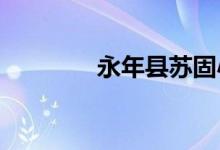 永年县苏固小学的地址在哪