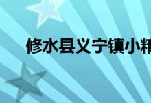 修水县义宁镇小精灵幼儿园的地址在哪