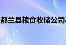 都兰县粮食收储公司小天使幼儿园的地址在哪