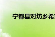 宁都县对坊乡希望幼儿园的地址在哪
