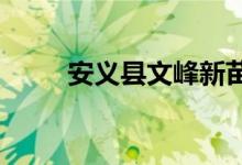 安义县文峰新苗幼儿园的地址在哪