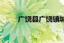 广饶县广饶镇城里小学的地址在哪