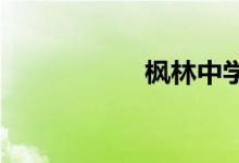 枫林中学的地址在哪