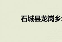 石城县龙岗乡幼儿园的地址在哪