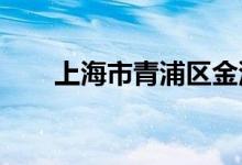 上海市青浦区金泽幼儿园的地址在哪