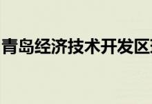 青岛经济技术开发区瑞泰福幼儿园的地址在哪