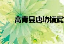 高青县唐坊镇武东幼儿园的地址在哪
