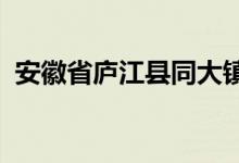 安徽省庐江县同大镇滨湖幼儿园的地址在哪