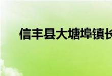 信丰县大塘埠镇长丰幼儿园的地址在哪