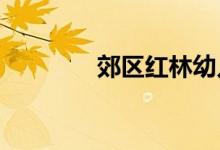 郊区红林幼儿园的地址在哪