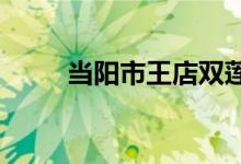 当阳市王店双莲幼儿园的地址在哪