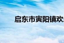 启东市寅阳镇欢乐幼儿园的地址在哪
